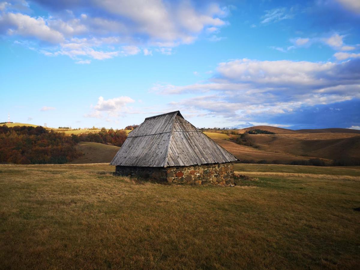 Adonis 201 Daire Zlatibor Dış mekan fotoğraf